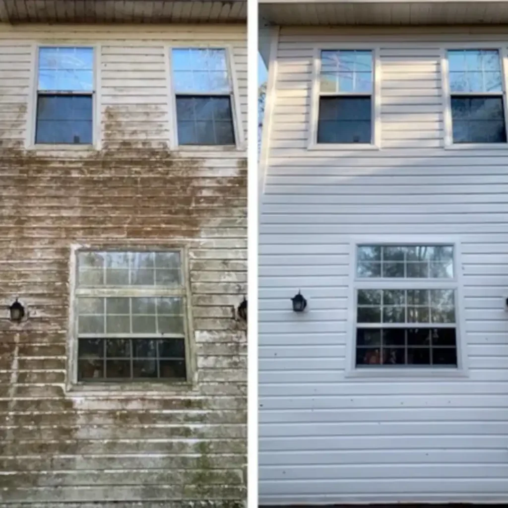 vinyl house washing