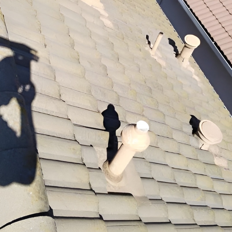 tile roof cleaning services